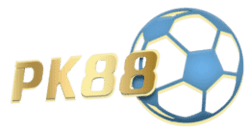 how do you play sudoku video
